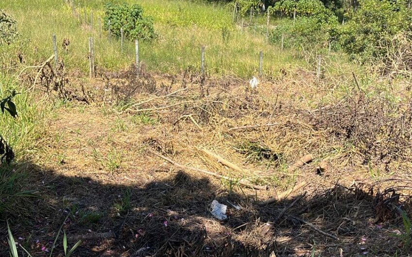 Lote no Jardim Belo Monte