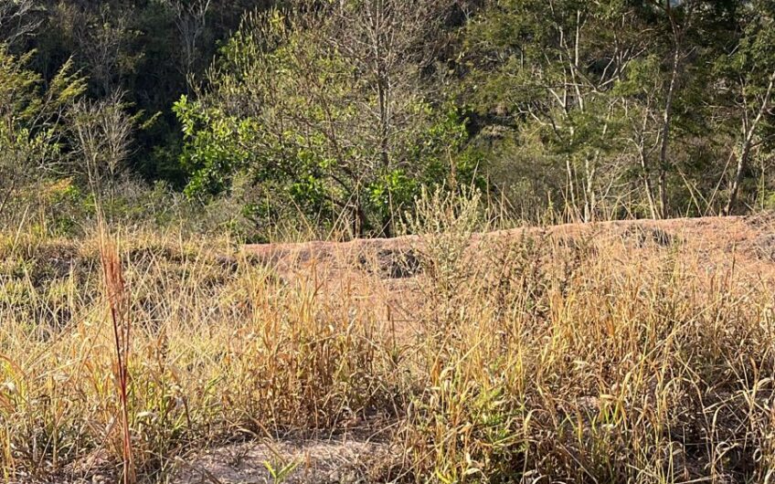 Lote no Jardim Buritis