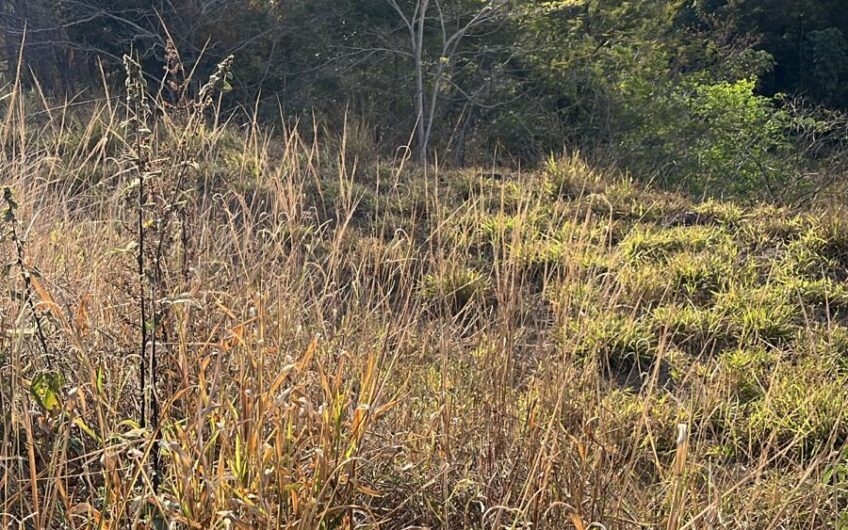 Lote no Jardim Buritis